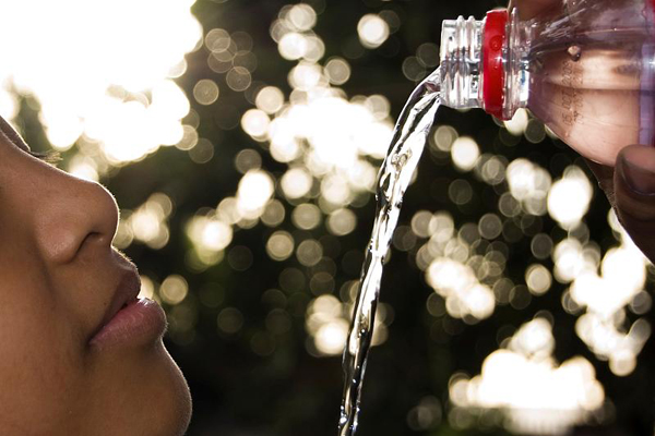 backlit photography examples