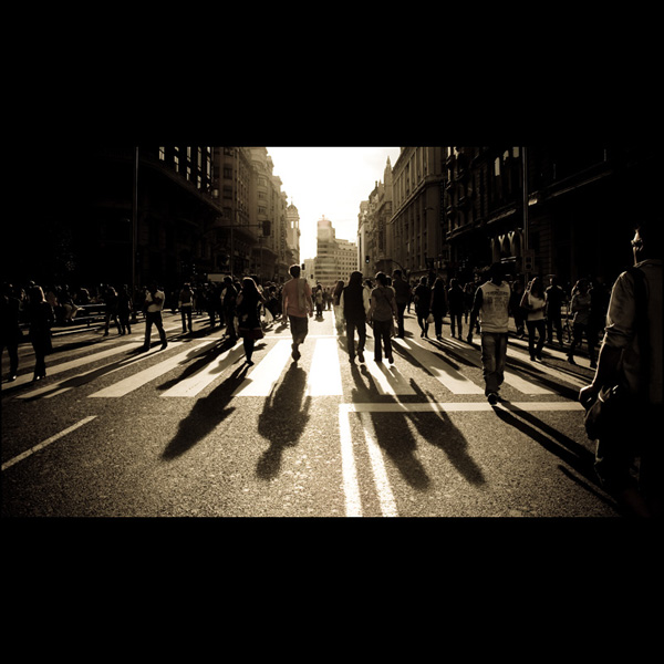 backlit photography examples