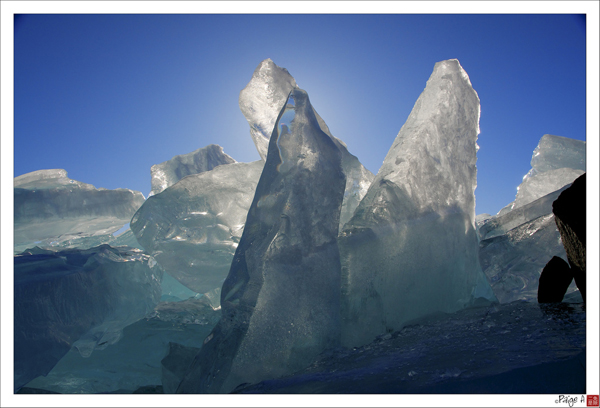 backlit photography examples
