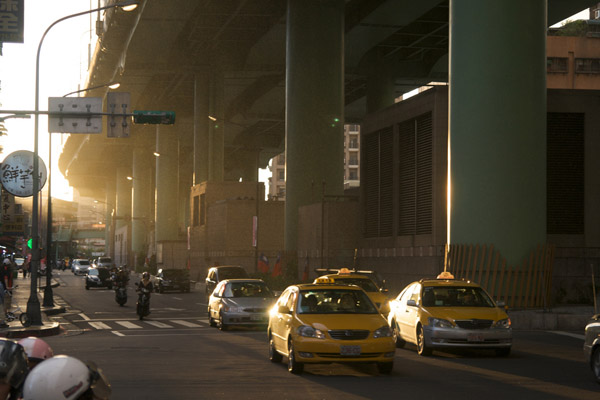 backlit photography examples