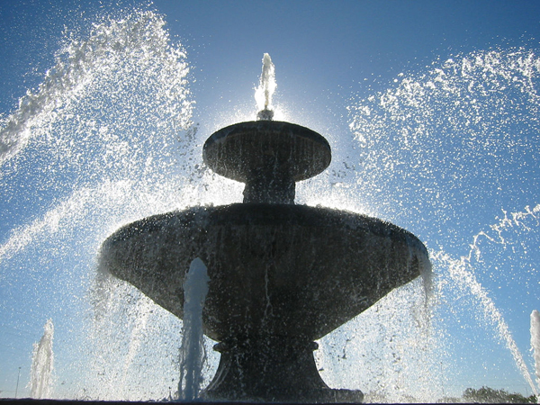 backlit photography examples
