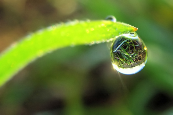 backlit photography examples