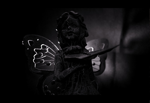 backlit photography examples