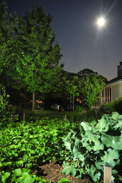 landscape lighting photography