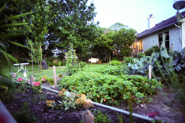 landscape lighting photography