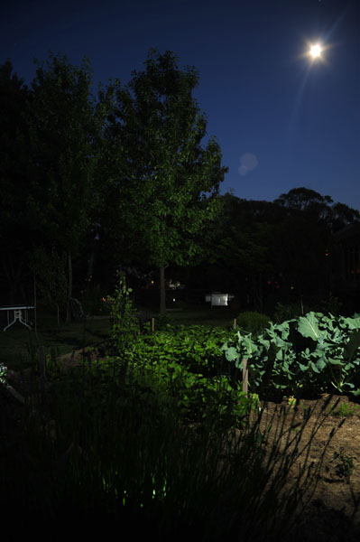 landscape lighting photography