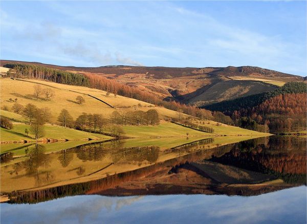 reflection photography examples