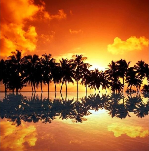 reflection photography examples