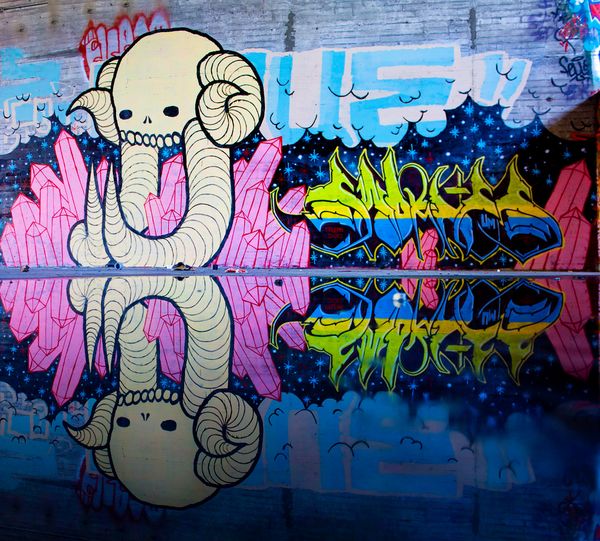 reflection photography examples