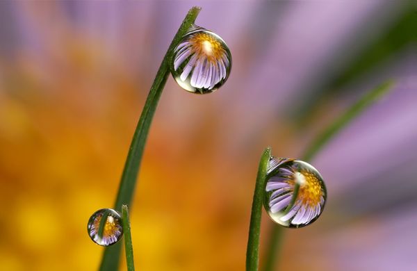 reflection photography examples