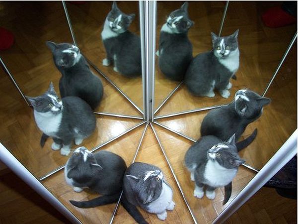 reflection photography examples