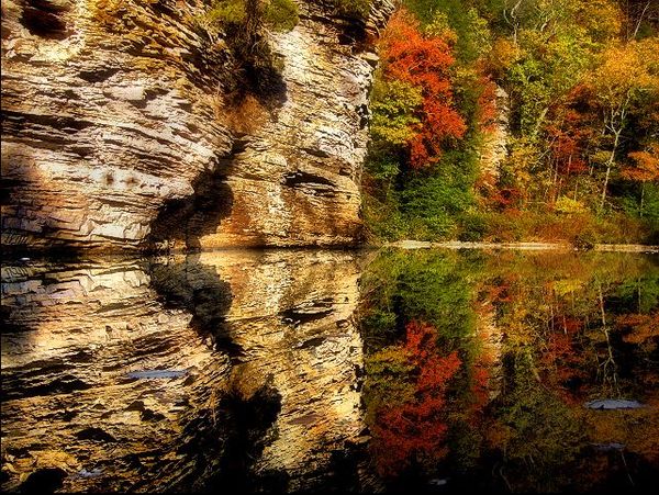 reflection photography examples