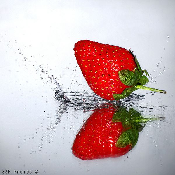 reflection photography examples