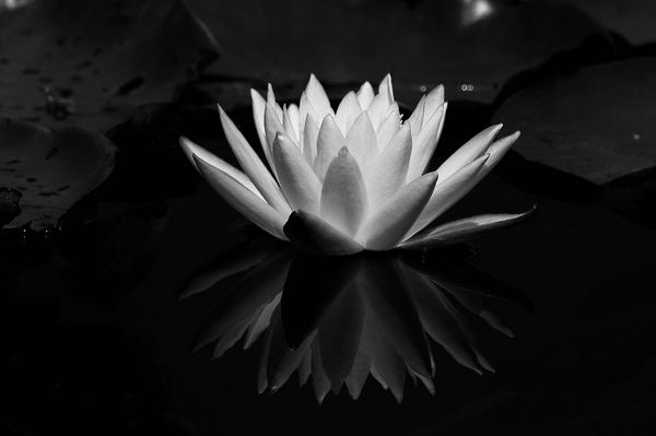 reflection photography examples