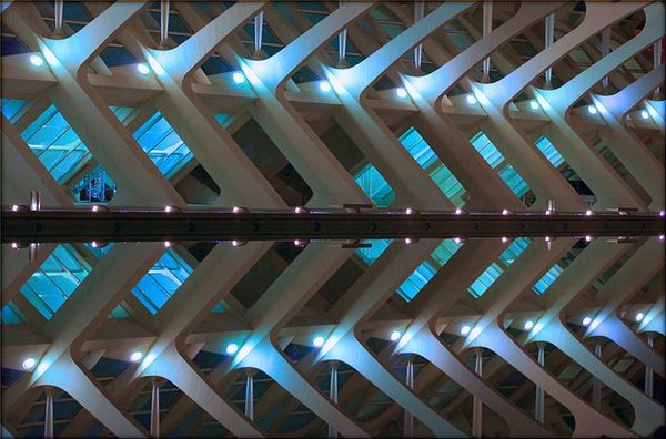 reflection photography examples