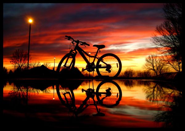 reflection photography examples