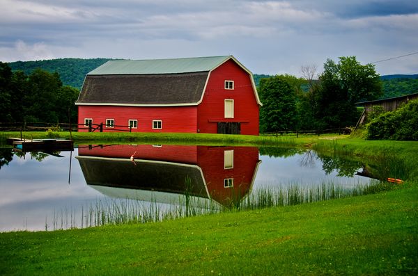 reflection photography examples