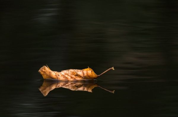 reflection photography examples