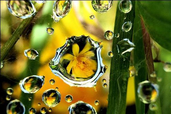 reflection photography examples
