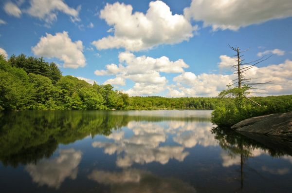 reflection photography examples
