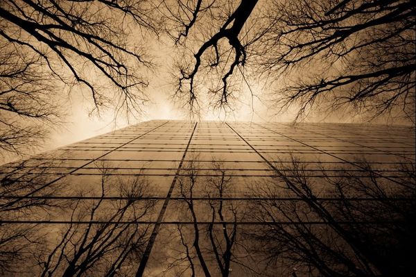 reflection photography examples