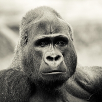 Friday Photo Critique #49