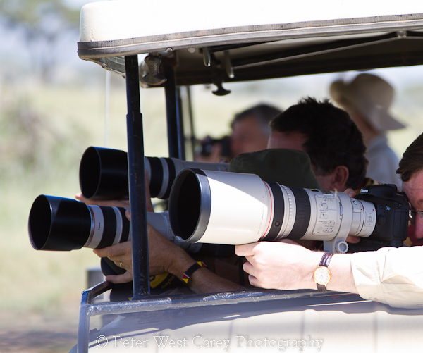 african safari photography
