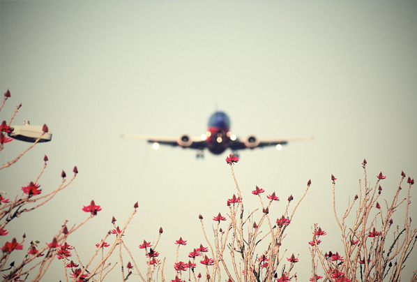 aviation photography examples