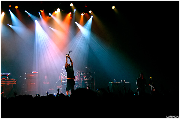 concert and gig photography