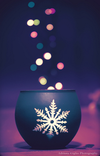 Beautiful Bokeh Photography Examples