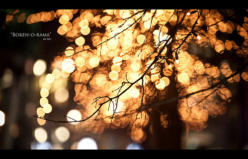 Beautiful Bokeh Photography Examples