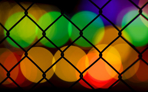 Beautiful Bokeh Photography Examples