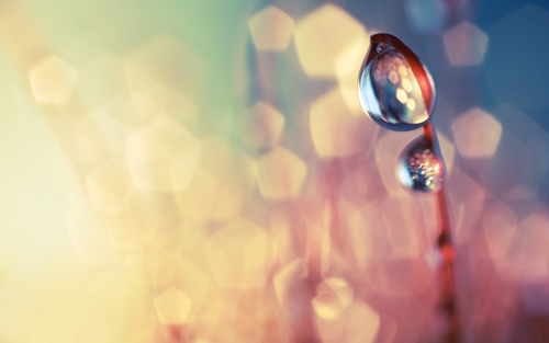 Beautiful Bokeh Photography Examples