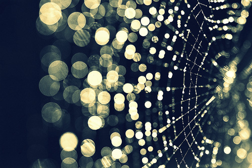 Beautiful Bokeh Photography Examples