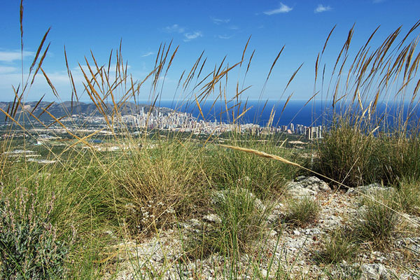 panoramic photography tips