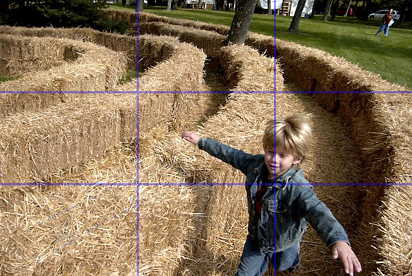 perfect photo composition