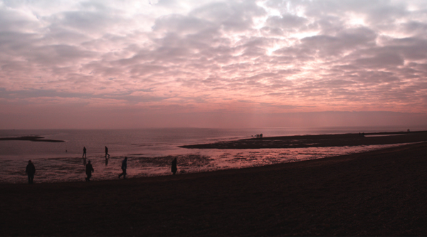 Neutral Density Filter