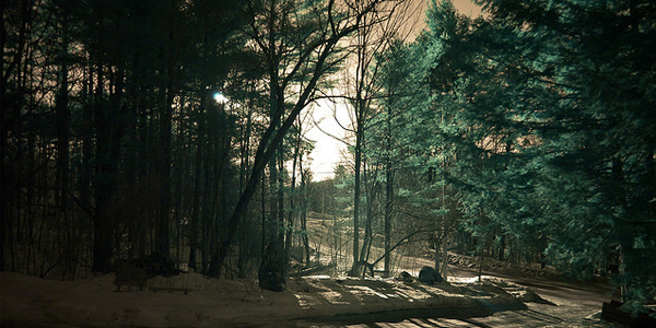 special effect filters sepia infrared