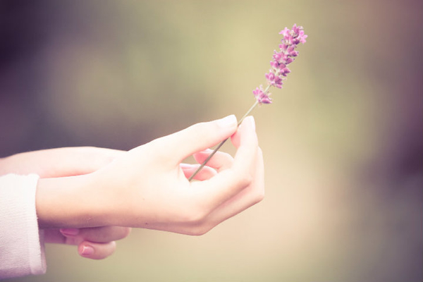 olivia bell photography