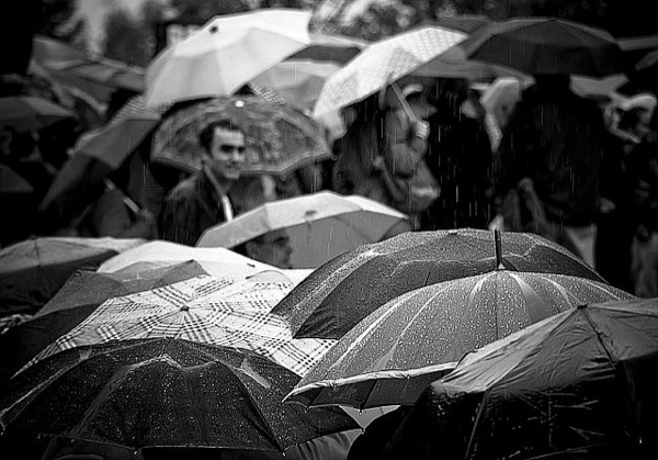 Rain Photography