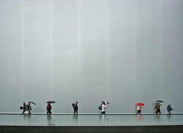Rain Photography