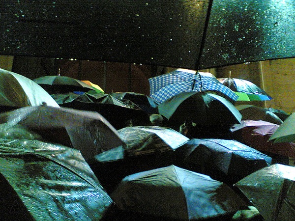 Rain Photography