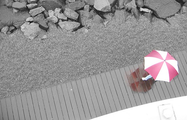 Rain Photography