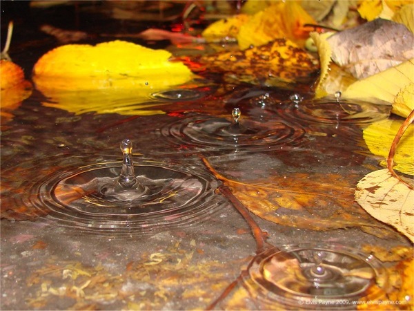 Rain Photography