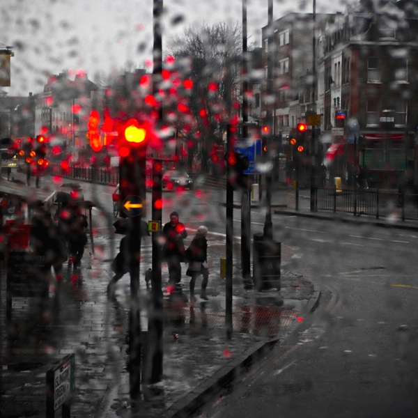 Rain Photography
