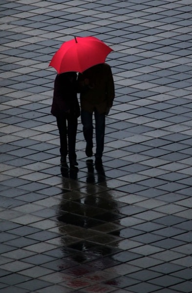 Rain Photography