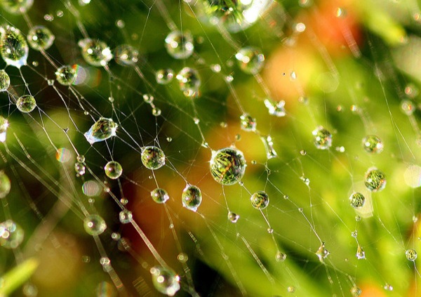 Rain Photography