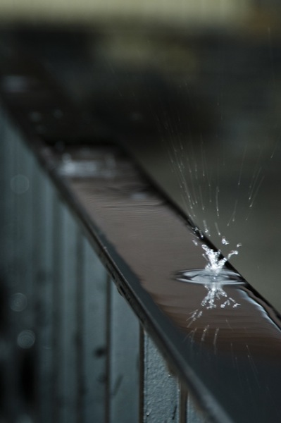 Rain Photography
