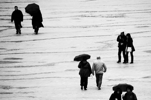 Rain Photography
