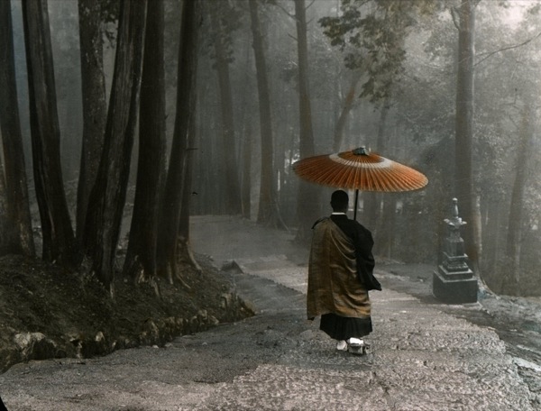 Rain Photography